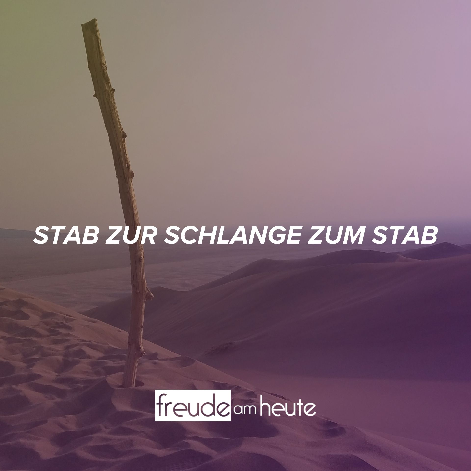 Freude Am Heute