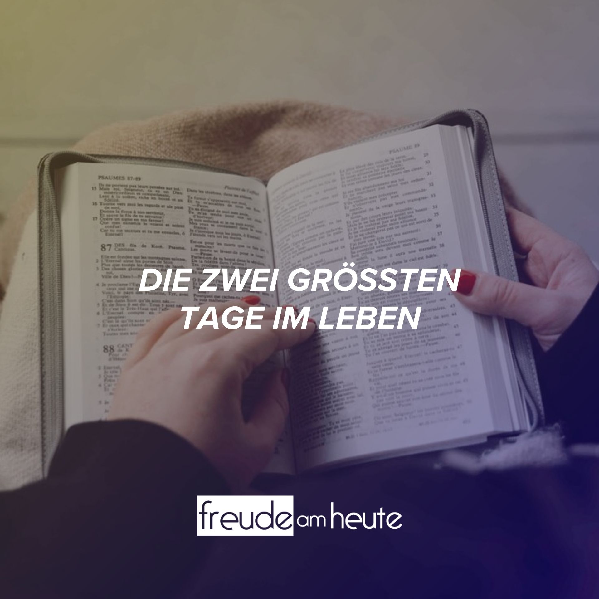 Freude Am Heute
