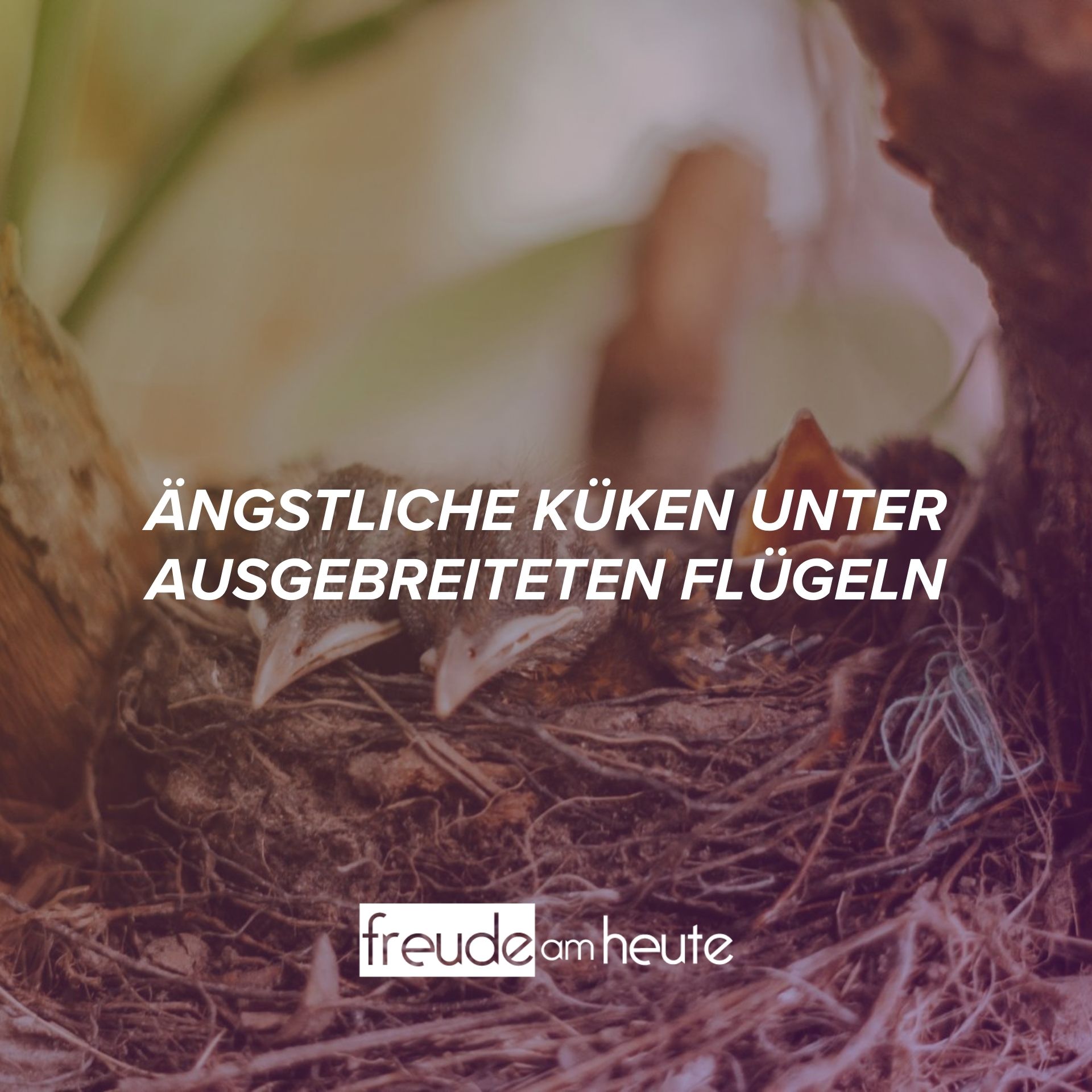 Freude Am Heute