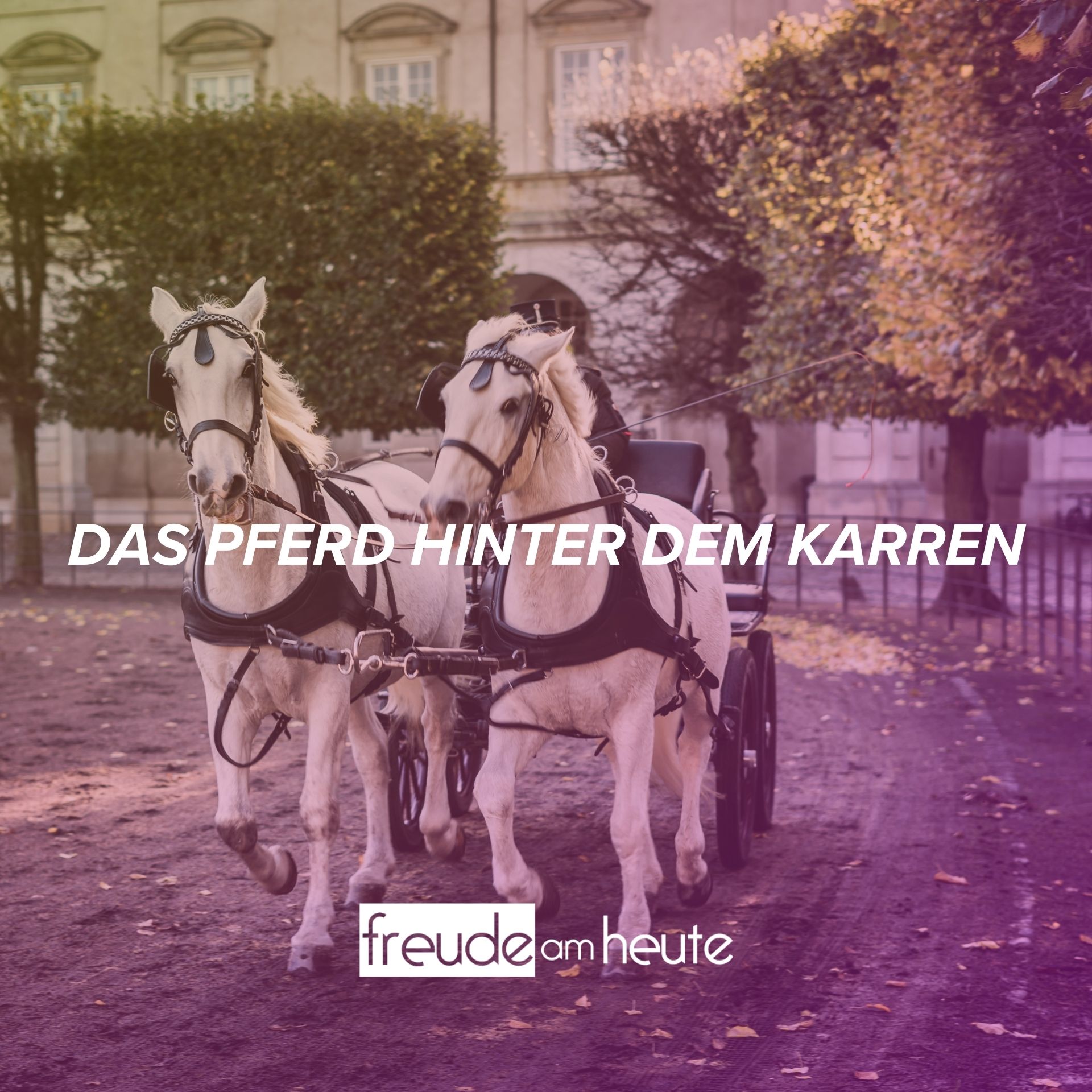 Freude Am Heute