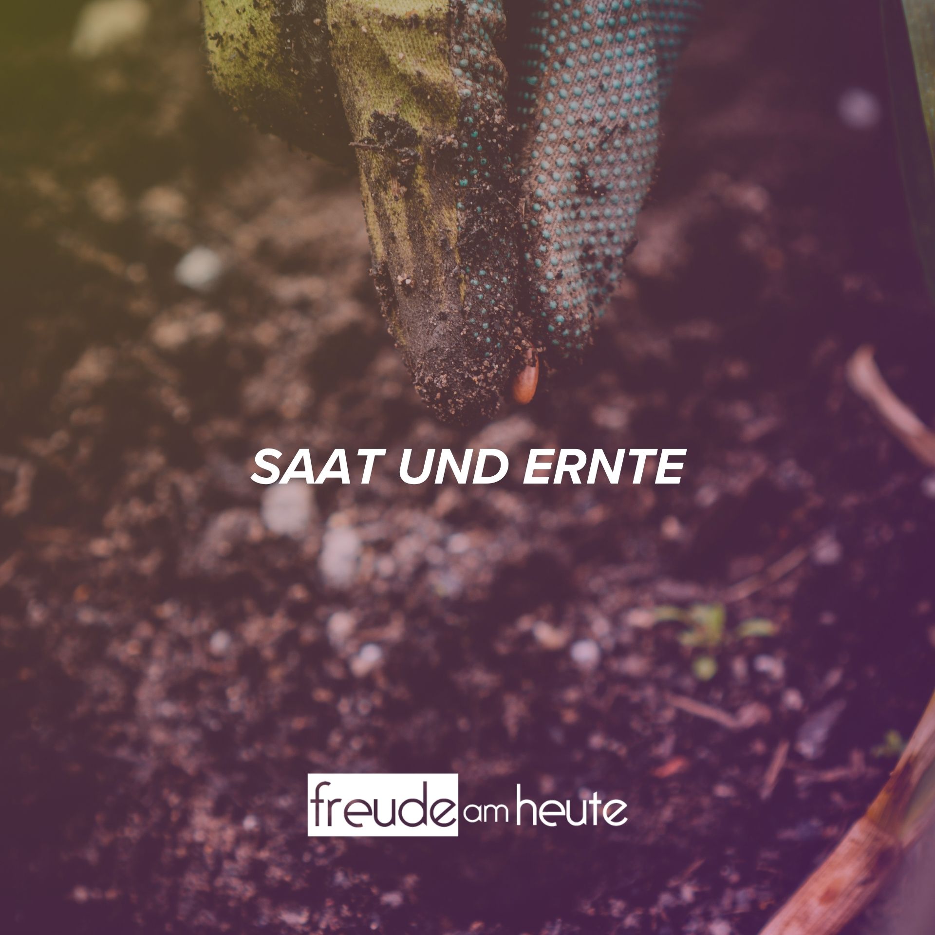 Freude Am Heute