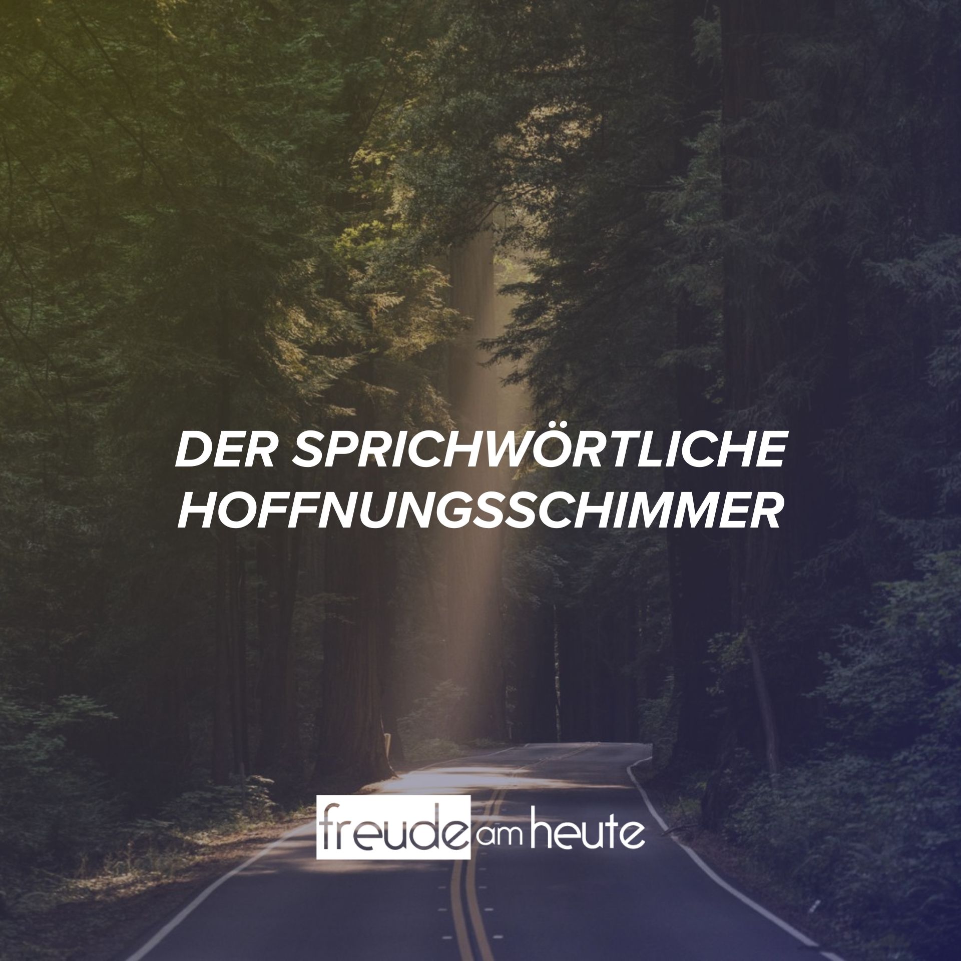 Freude Am Heute